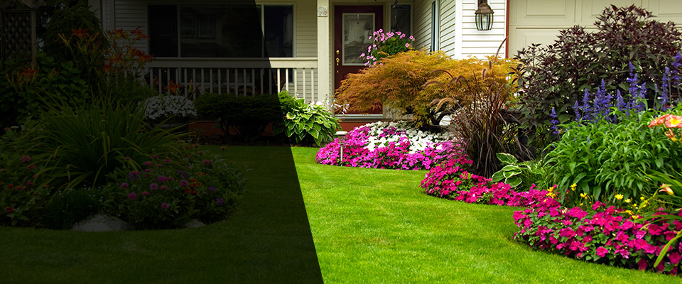 Woodsfield Landscapers