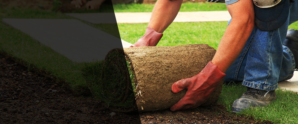 Woodsfield Landscapers